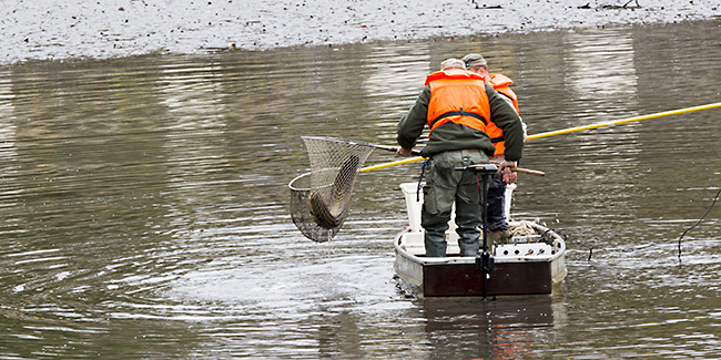 Ulrich Simons - Hangeweiher Abfischen