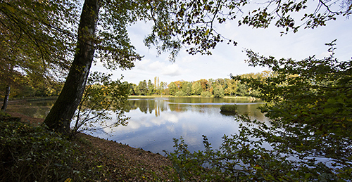 Ulrich Simons - Aachen, Kupferbach-Stauweiher