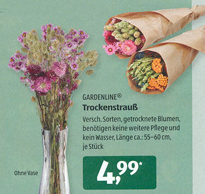 Ulrich simons - Aldi Trockenblumen
