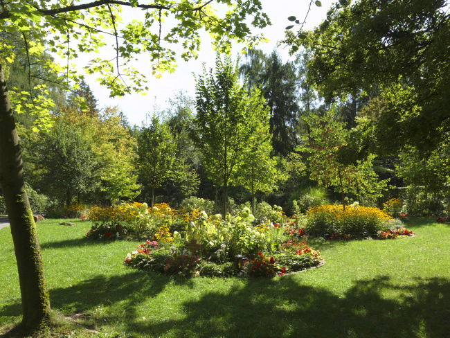 Waldfriedhof Baumwahlgr&auml;ber