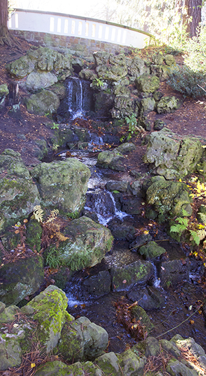 Ulrich Simons - Paubach