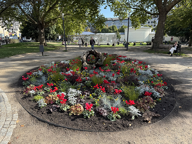 Herbstblumen im Elisengarten