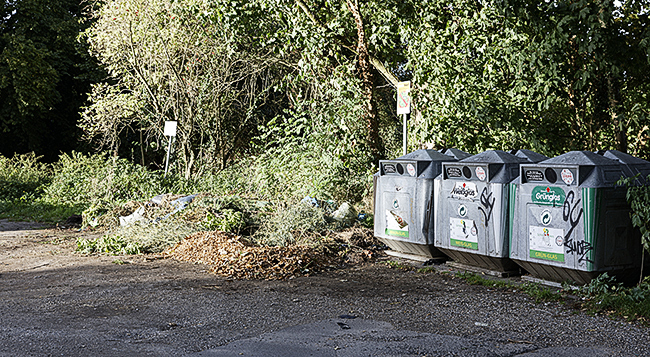 Grünabfall Hermann-Löns-Allee