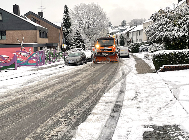 Schnepflug im Morillenhang